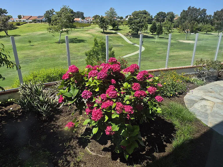 Patio view.