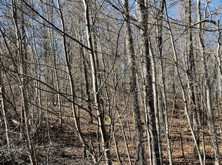 Patriot Ln, Sevierville, TN 37862