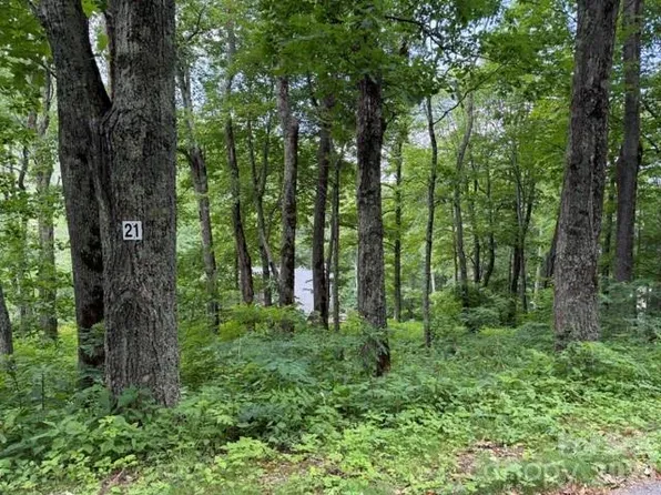 21 Odalu Trl, Maggie Valley, NC 28751