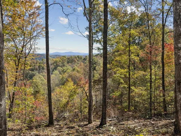 TRACT Seven Off Of Sheep Ranch Rd, Robbins, TN 37852
