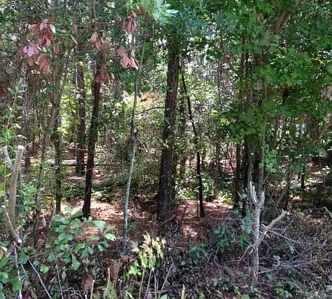 old st augustine road property photo
