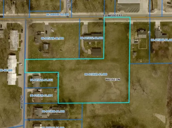 E Linfoot St, Wauseon, OH 43567