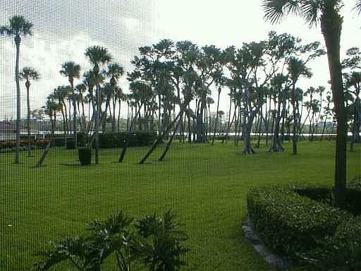 Waterfront view