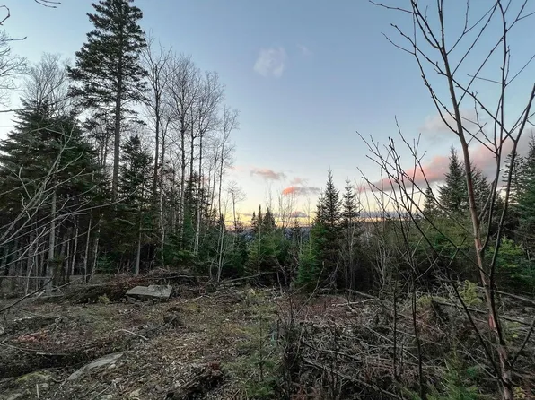 Lot 16 Mill Brook Road, Sandy River Plt, ME 04970