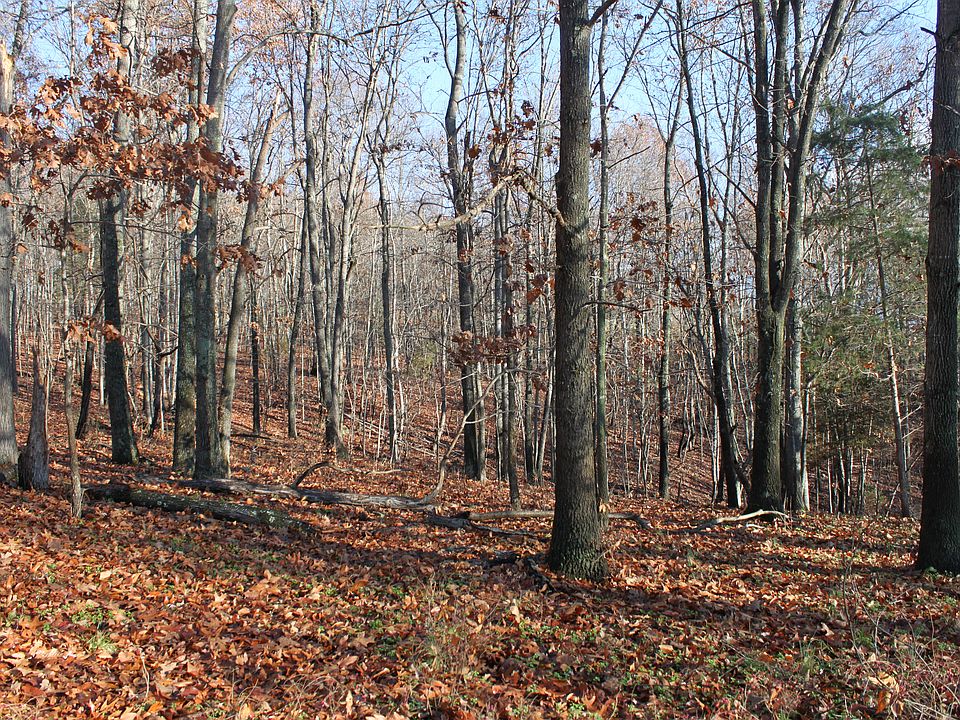 2nd image of Hollow Rock Road Property #61-A-14B
