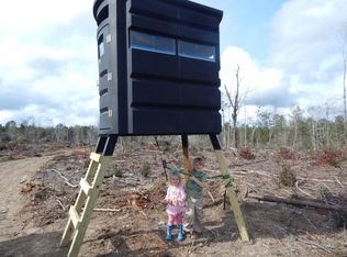 0 L L Coon Rd, Jayess, MS 39641