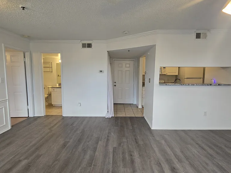 1000 W Horatio St #220 — Photo 10