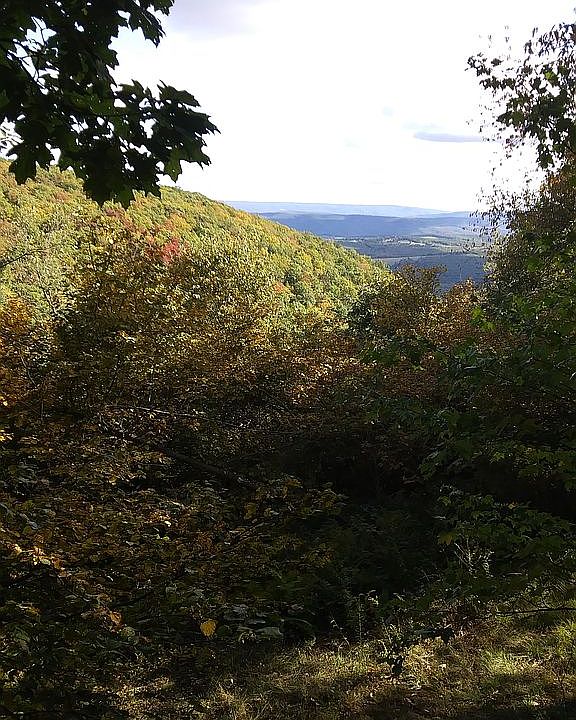2nd image of Fleegle Mountain Rd