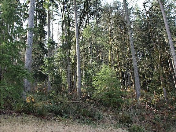 3rd image of 17845 SE Cougar Mountain Drive Lot 6
