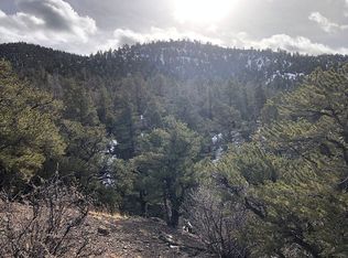 Edmond Rd, Fort Garland, CO 81133