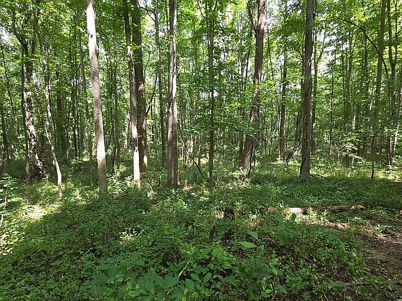 3rd image of 12223 Molly Berry Rd