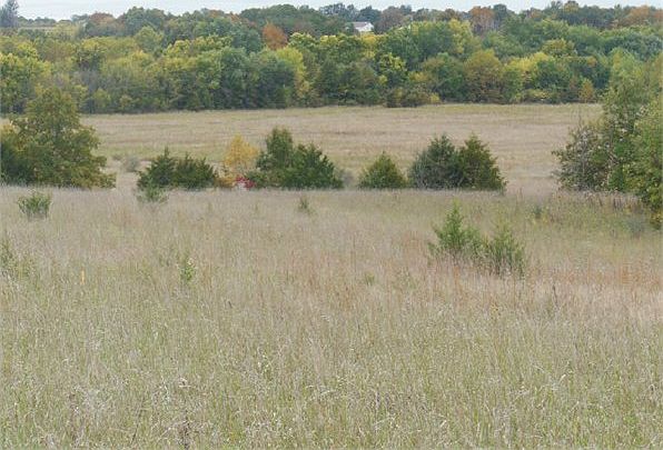 1st image of 1729 County Road 1520