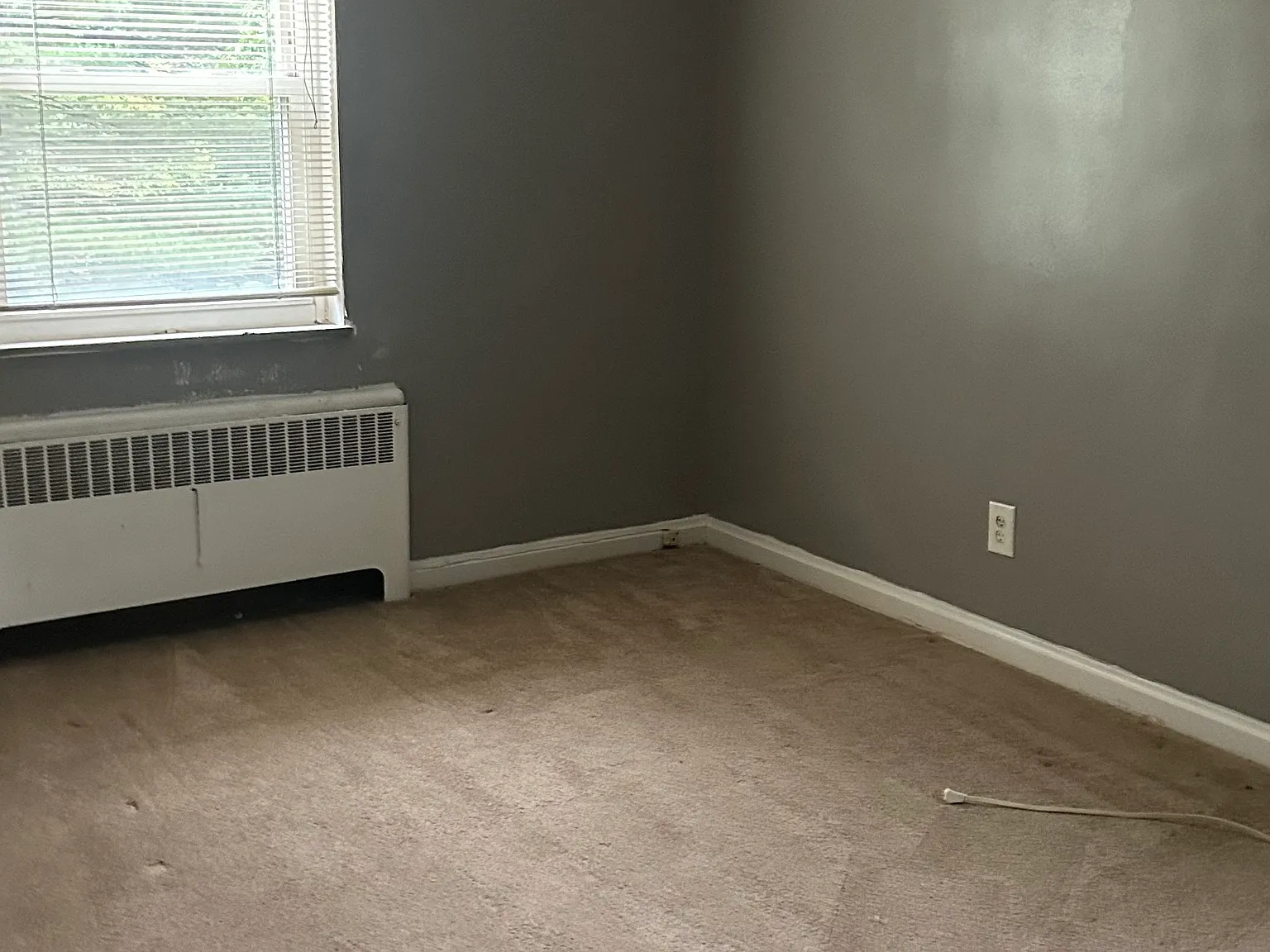 2 bed, 950 sqft, $1,000 — Photo 2