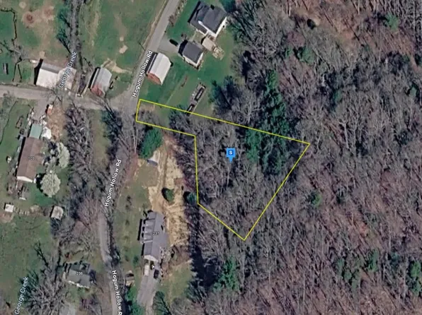 231 Hogum Hollow Rd, Roan Mountain, TN 37687