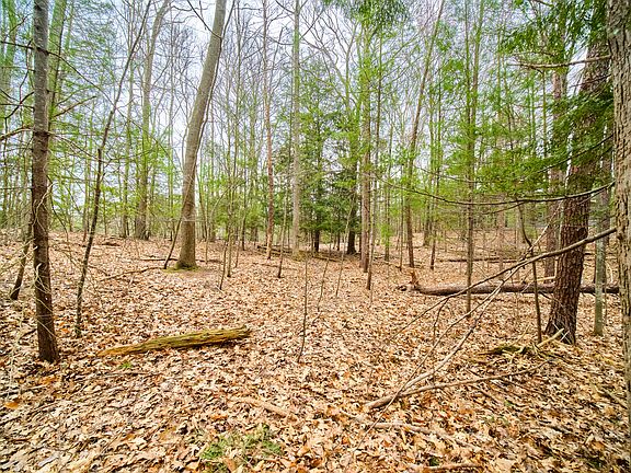 5th image of Piney Rd