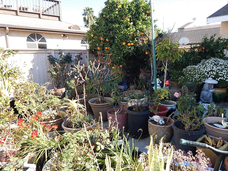 Rear garden
