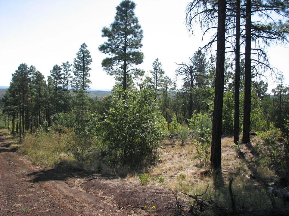 1st image of 1821 Starlight Dr