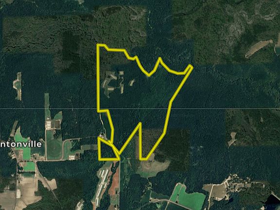 2nd image of 0 Westbrook Lowgrounds Rd