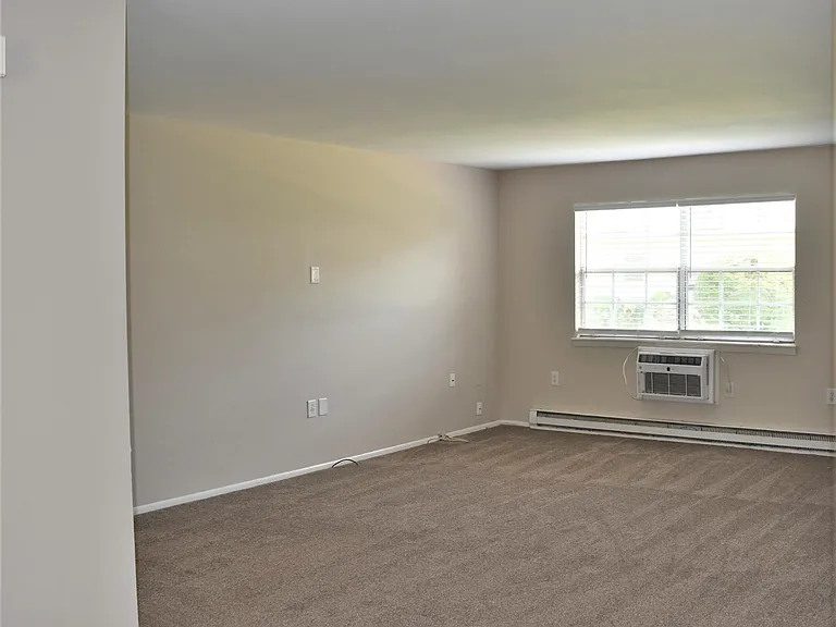 53 White St #B — Photo 3