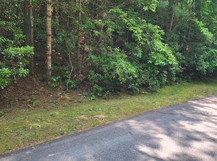 50 Big Pine Rd, Sapphire, NC 28774