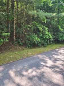 Lot 50 Big Pine Road, Sapphire, NC, 28774
