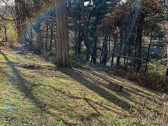 Nicely graded back yard