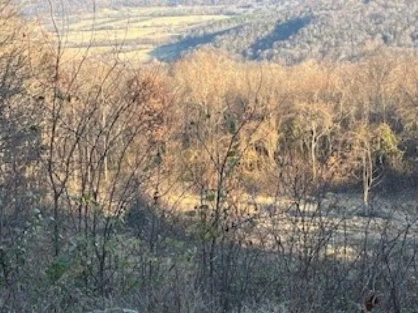 0 Cooper Point Dr, Mountain View, AR 72560