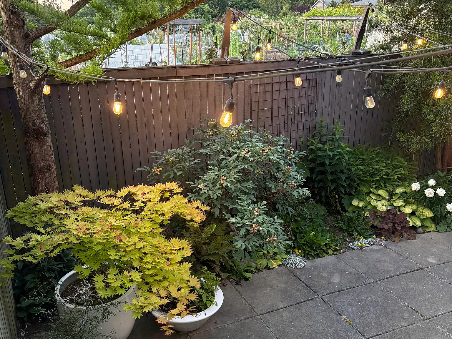 2 bed, 1.5 bath, 900 sqft, $3,750 — Photo 1