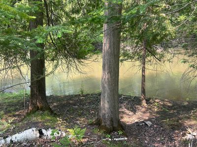 24920 E Riverside Dr, Hillman, MI, 49746