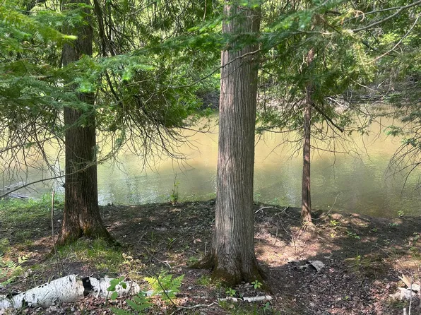 24920 E Riverside Dr, Hillman, MI 49746