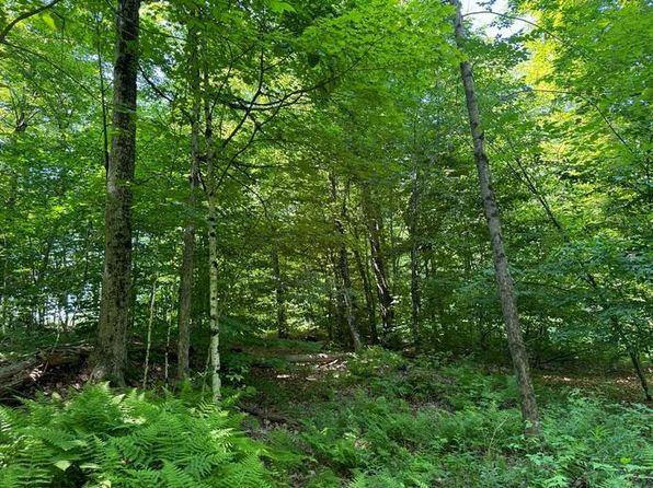 1.1 Dutch Hill Road Spur #1, Cincinnatus, NY 13040