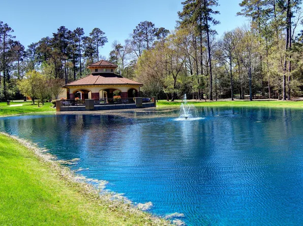 30 S Lamerie Way #20, Spring, TX 77382