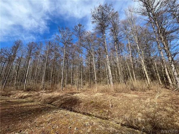LOT 1 42 Degrees N, Ellicottville, NY 14731