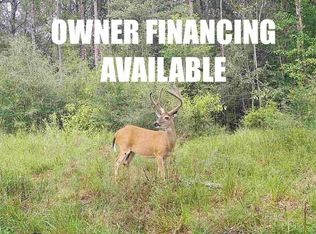 State Highway 87 S, Kirbyville, TX 75956