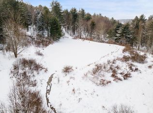 L30 Mud Lake Rd, Summit, NY 12175