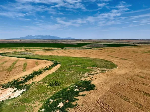TBD Road D, Dove Creek, CO 81324