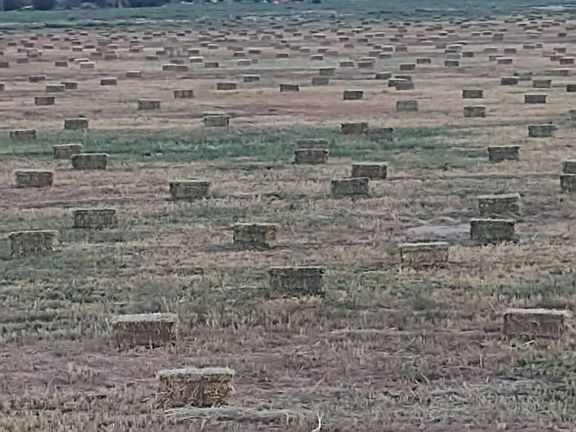 4th image of 9656 Woodruff Hay Hollow Rd