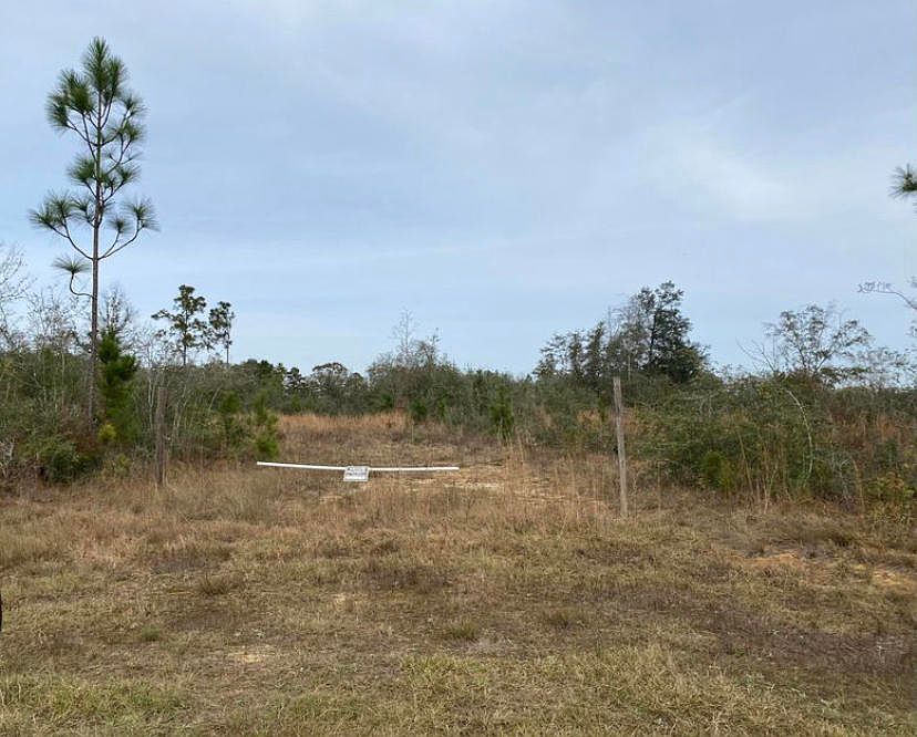 2nd image of Pond Rd