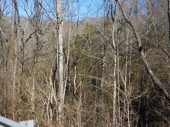 3rd image of 75 Ac Grundy Quarles Hwy