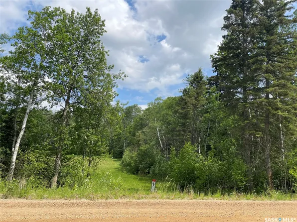24 Tranquility Drive, Big River Rm No 555, SK S0J 0E0