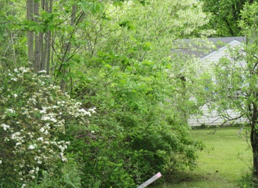 2nd image of 7821 Mulberry Rd