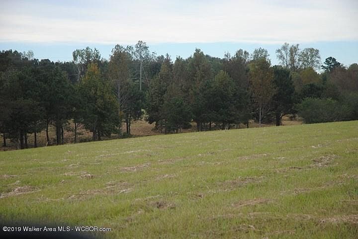 2nd image of Curry Hwy