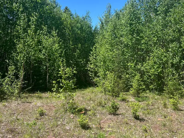 Xxx2 Heffelfinger Trl, Silver Bay, MN 55614