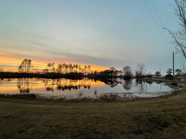 275 Marchants Dairy Rd, Rhine, GA 31077