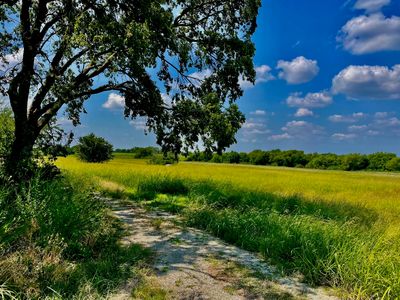 County Road 1520, Bonham, TX, 75418