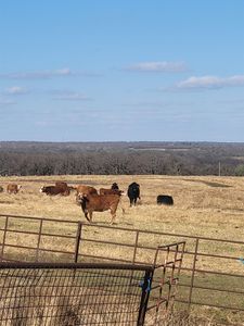 ???? Miller Rd, Marlow, OK, 73055