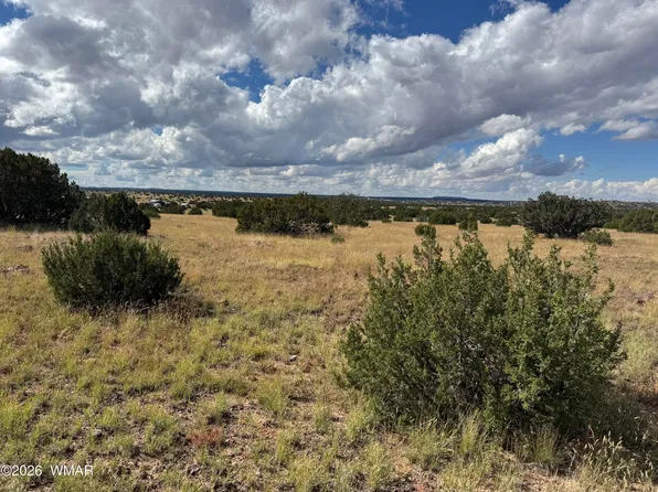 146 Hickory Ln, Concho, AZ 85924