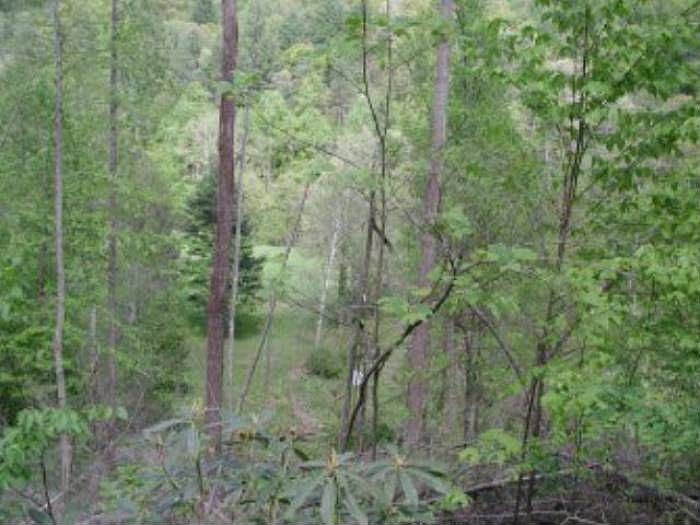 2nd image of 9264 Elk Creek Rd