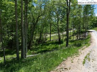 Wr33 Sierra Trl, Elk Park, NC 28622