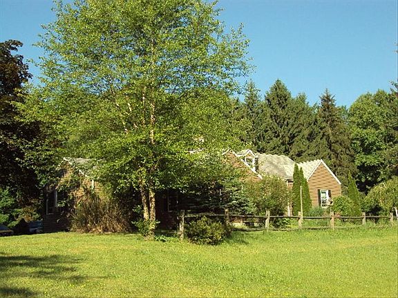 Back View